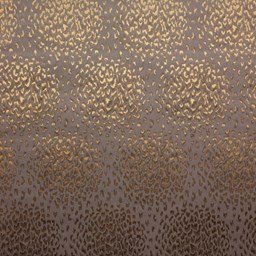 Toon details voor Jazz 64 Care & Clean Afbeelding van Jazz 64 Care & Clean